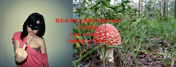 скорость Баксан